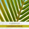 That Sunday, That Summer - Lawrence Welk