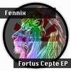 Fortus Cepte (Original Mix) - Fennix