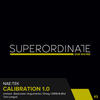 Calibration1.0 (Basicnoise Rmx) - Nae:Tek&Basicnoise
