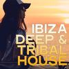 You and Me (Tribal Extended Mix) - Dj Twizzer