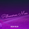 Petrecerea Mea - Deejay Killer