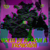 volta de re com a trovoada (Explicit) - Dj wc sheik&Mc Wesley do vt&Mc Lina
