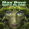 Hide and Seek - Max Bove