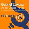 All The Usual Things (Original Mix) - Gabriel Lukosz