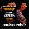 Slow Down (Original Mix) - Sarah Stansfield