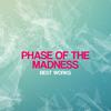 Spirit Breaker - Phase Of The Madness