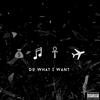 Do What I Want (Explicit) - Gutta Twins