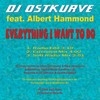 Everything I Want to Do (Extended Mix) - DJ Ostkurve&Albert Hammond