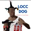 Locc Dog (feat. Samiam) (Explicit) - ImRich&Samiam