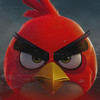 ANGRY BIRDS PHONK - RXDXVIL&Fysun Serhii Vladimirovich