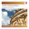 I. Allegro (Instrumental) - Richard Kapp&Johann Sebastian Bach&Ruth Waterman&David Carp&Stephen Hammer&Philharmonia Virtuosi