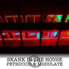 Skank In The House (Original Mix) - Petruccio&Modulate