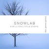 A Million Little Steps - Snowlab&Gabriela Geneva