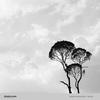People (Original Mix) - Alexey Ryasnyansky