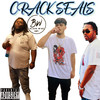 Crack Seals (Explicit) - Kandiblk