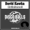 Rainforest (Radio Edit) - David Kawka