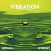 Vibration(feat. Lord Sky) - Musgan&Lord Sky