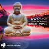 I'll Just Be Buddha (Etic Remix) - Indoor