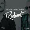 Radiant (Inox Future Remix) - DJ Inox&Adam Joseph