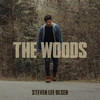 The Woods - Steven Lee Olsen