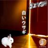 White Rabbit - Siva