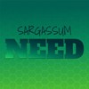 Sargassum Need - Wook Ardo