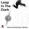 Leap in the Dark (Nick's Funk Version) - Nick Morris&Mr.Goaty&Antonio Venuti