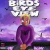 Birds Eye View (feat. TheHxliday) (Explicit) - Complex Productions&THEHXLIDAY