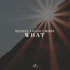 What - Hilefex&KIIGO&Mirro&Kosarev Daniil Andreevich&Kirill Vigovsky&Andy Grebelsky