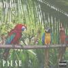 Pause (Explicit) - TheLove