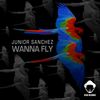 Wanna Fly (Fly Beats) - Junior Sanchez