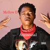 Antisocial(feat. Tyrell Reigns & RAWYALTEE) (Explicit) - Mellow D&Tyrell Reigns&Rawyaltee