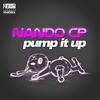 Pump It Up (Original Mix) - Nando CP