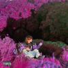 WHAATADAY (feat. 13bringsgoodluck) (Explicit) - Purple25&13bringsgoodluck