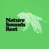 Bird Life - Rest&Relax Nature Sounds Artists