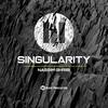 Singularity - Nassim Ghribi