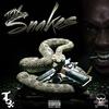 Snakes(Freestyle) (Explicit) - Tox