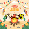 FESTA  JUNINA (Explicit) - DJ BRUNIN JS&Mc Delux&MC Papo&MC John JB