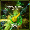 Never (Radio Edit) - Mimmo Errico