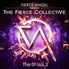 Celebrate (Degrees Of Motion 2010 Mix) - Fierce Collective