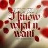 I Know What U Want (feat. Vixen V) (Explicit) - Lyriks&Vixen V