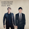 Adrenaline (feat. 张杰) - James Blunt&张杰