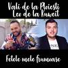 Fetele mele frumoase - Vali de la Ploiesti&Leo De La Kuweit