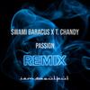 Passion(feat. Swami Baracus & T. Chandy) (Remix) - IAMSOULFUL&Swami Baracus&T. Chandy