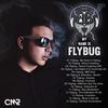 8BIT Rave (Original Mix) - Flybug