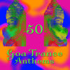 Mountain Man (DJ No Man Mix) - Masters Of Goa Trance