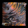 Say No More (Radio Edit) - Roan Shenoyy&Praye