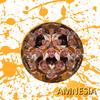 Amnesia - The Oosh&Hussein Al-Janaby