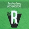 Deep Emotions - Luchiiano Vegas&Elekplunkinkantk