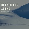 Fly (Original Mix) - DJ Alex V.I.T.